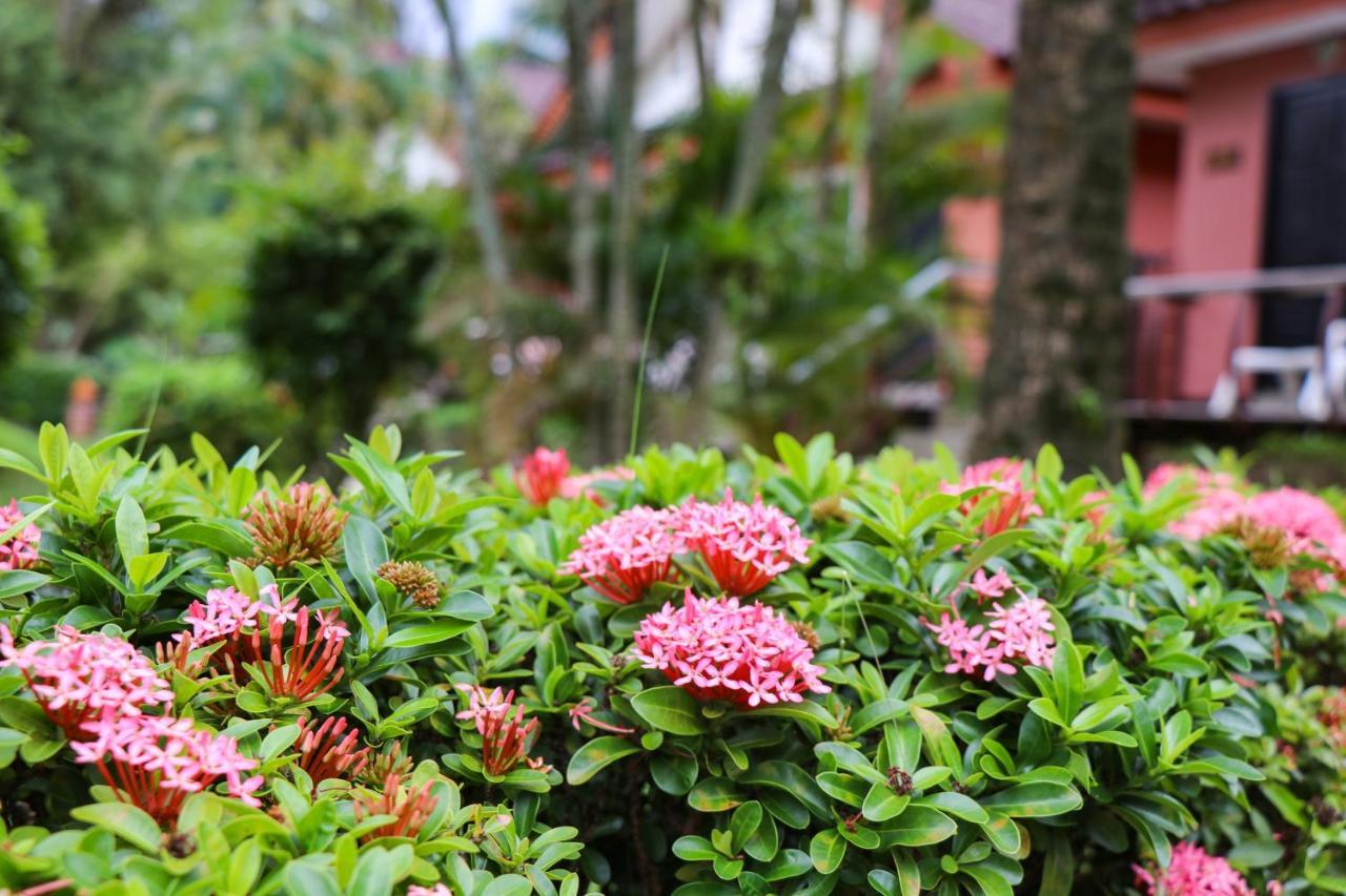 Andaman Seaside Resort - SHA Extra Plus Bang Tao Beach  Exterior foto