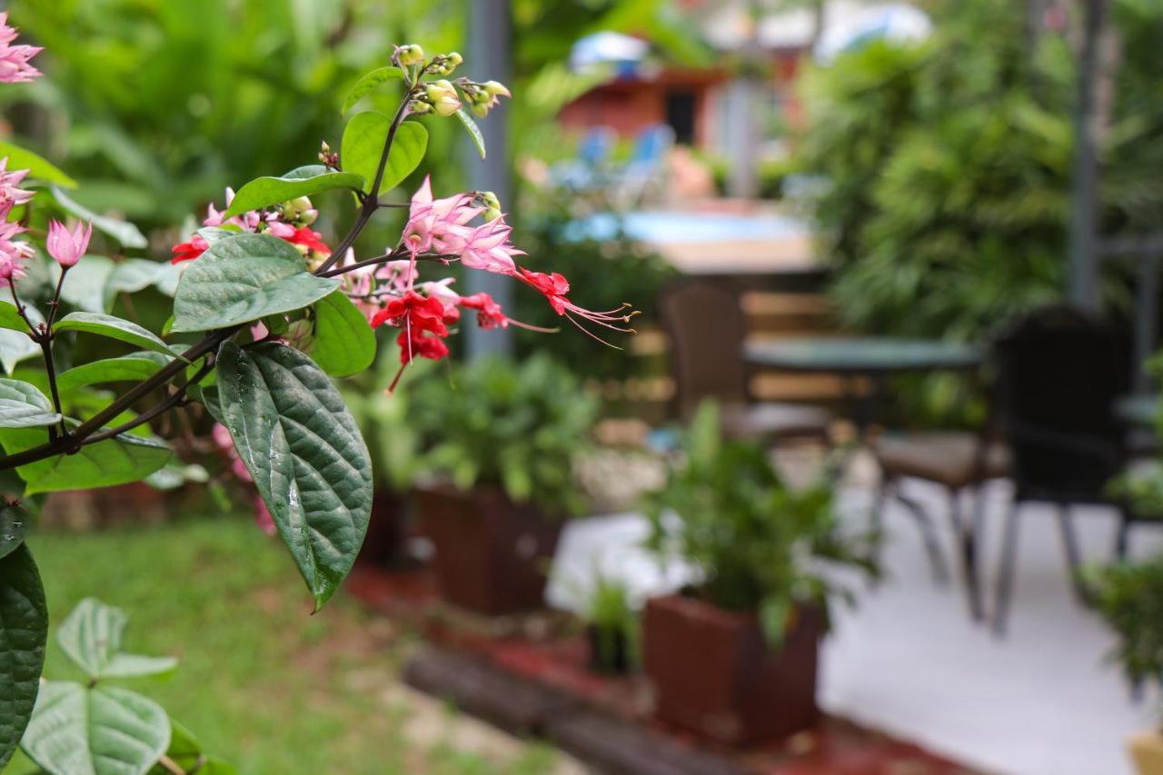 Andaman Seaside Resort - SHA Extra Plus Bang Tao Beach  Exterior foto